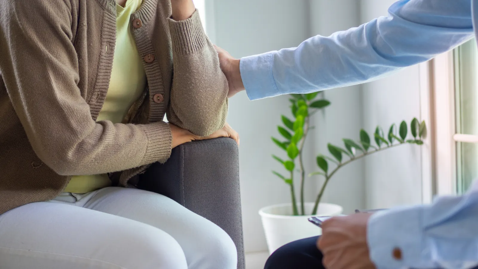 A provider offering support to a client